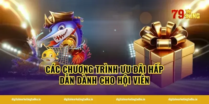 Các chương trình ưu đãi hấp dẫn dành cho hội viên