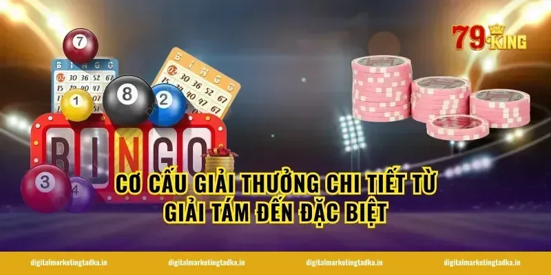 Cơ Cấu Giải Thưởng Chi Tiết Từ Giải Tám Đến Đặc Biệt