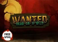 Wanted Dead or a Wild