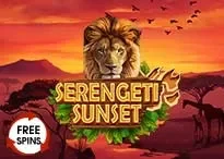 Serengeti Sunset